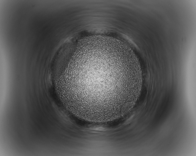 X0000085020643200703121543