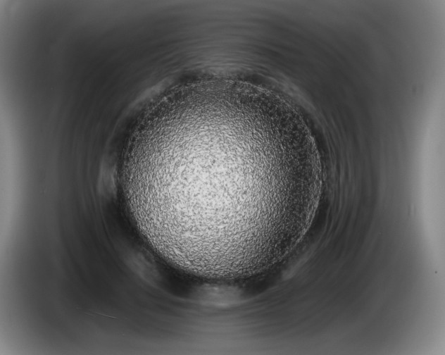 X0000085020644200703121543