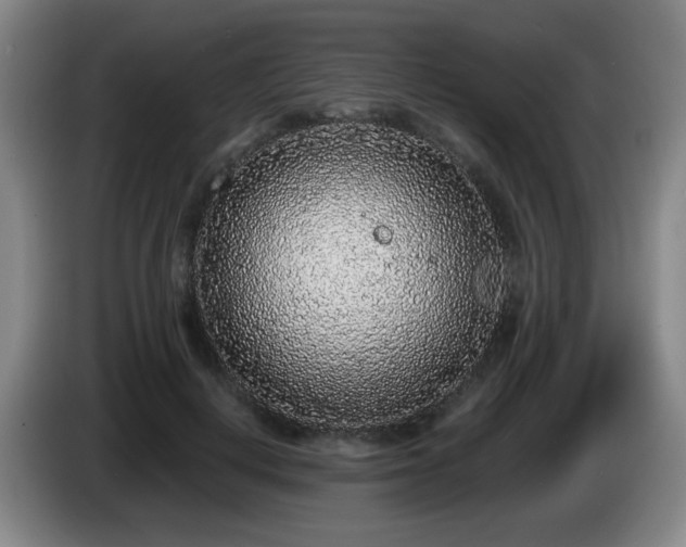 X0000085020648200703121543