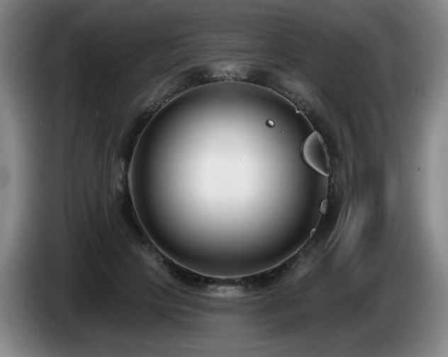 X0000085020649200703121543