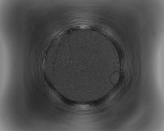 X0000085020650200703121543