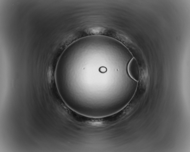 X0000085020651200703121543