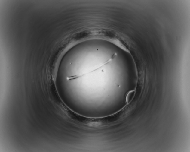 X0000085020653200703121543