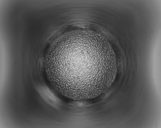 X0000085020654200703121543