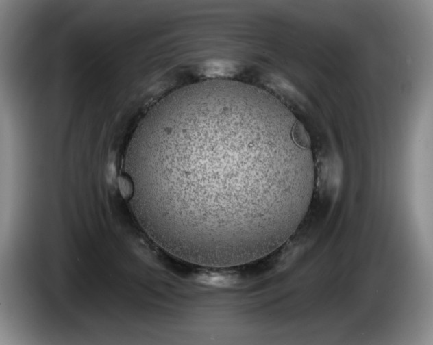X0000085020655200703121544
