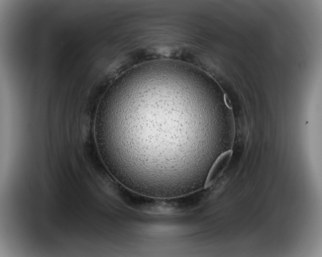 X0000085020656200703121544