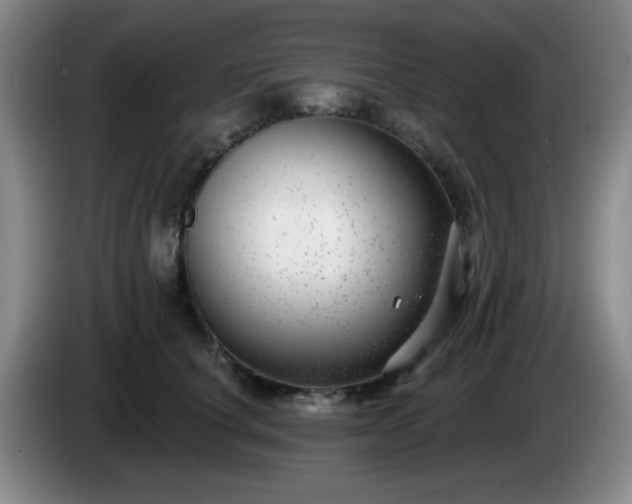 X0000085020660200703121544