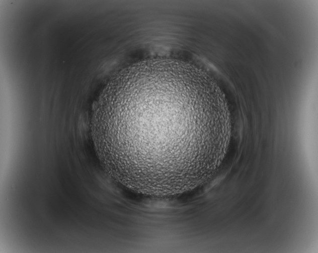 X0000085020661200703121544