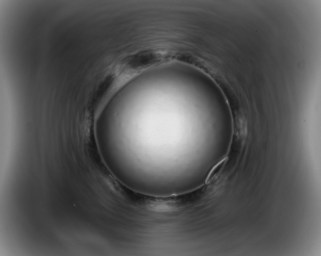 X0000085020664200703121544
