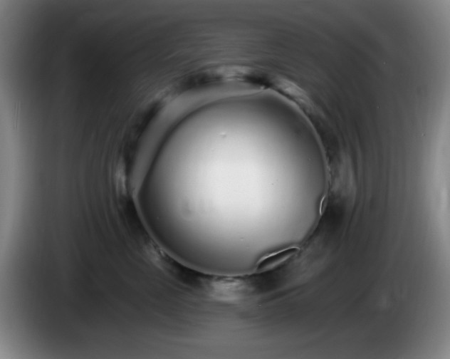 X0000085020669200703121544