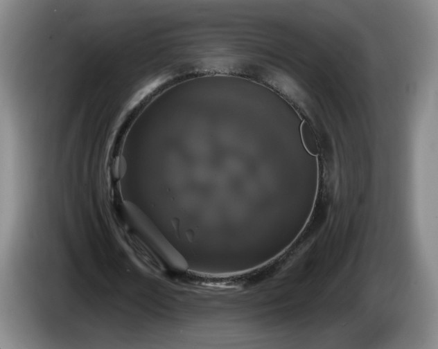 X0000085020674200703121543