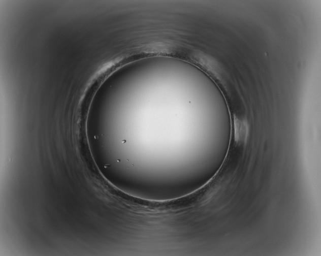 X0000085020675200703121543