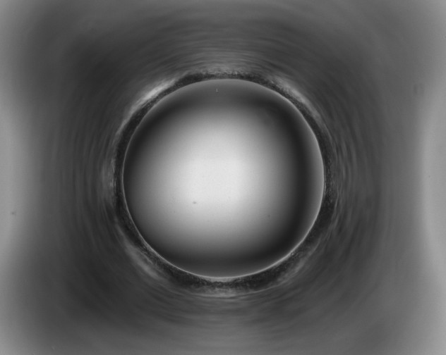 X0000085020677200703121543