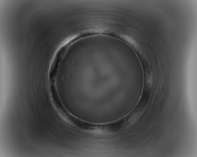 X0000085020678200703121543