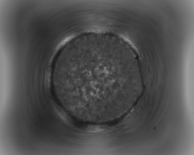 X0000085020679200703121543