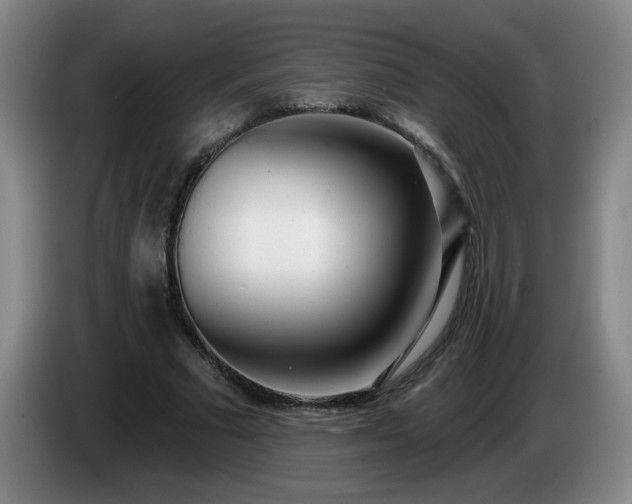 X0000085020681200703121543