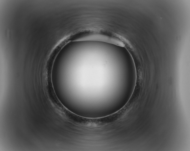 X0000085020684200703121543