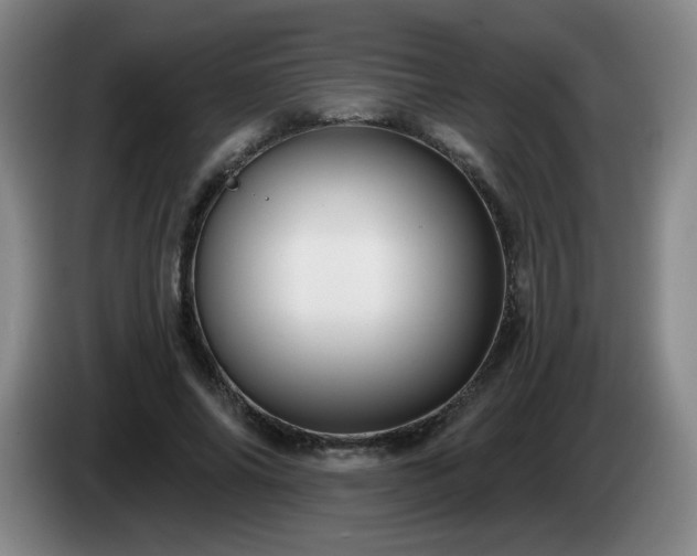 X0000085020686200703121543