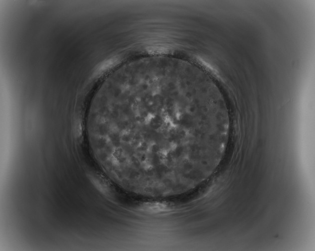 X0000085020687200703121543