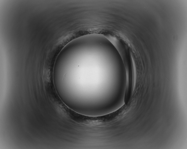 X0000085020689200703121543