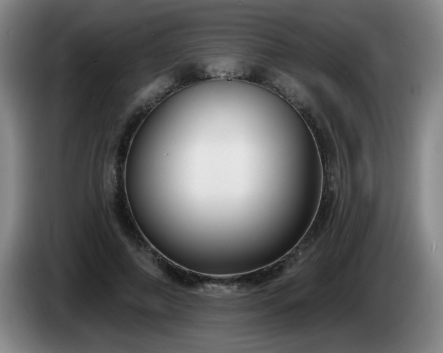 X0000085020690200703121543