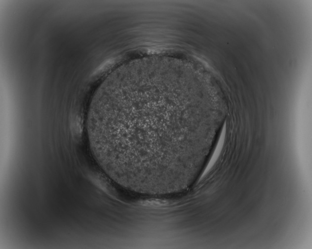 X0000085020691200703121543