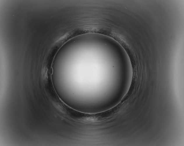 X0000085020692200703121543