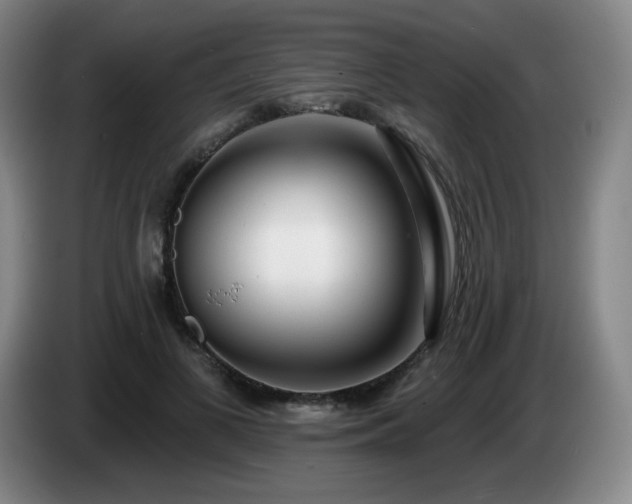 X0000085020693200703121543