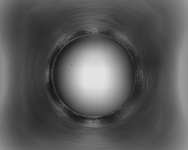 X0000085020694200703121543