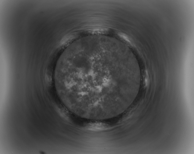 X0000085020695200703121543