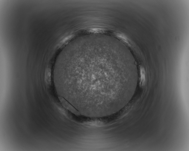 X0000085020696200703121543