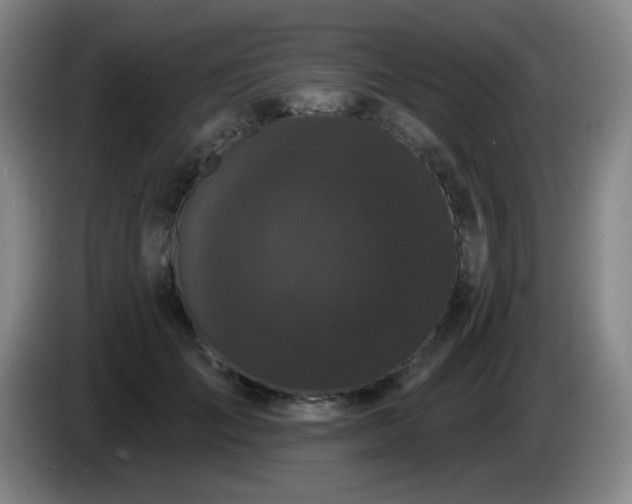 X0000085020701200703121543