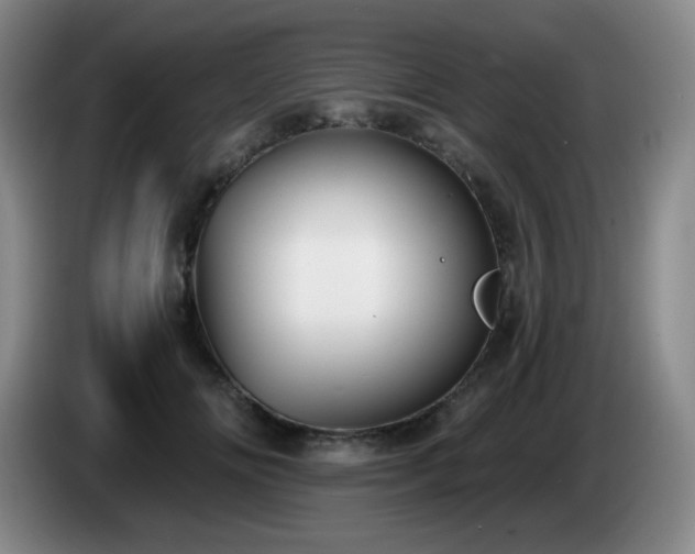 X0000085020702200703121543