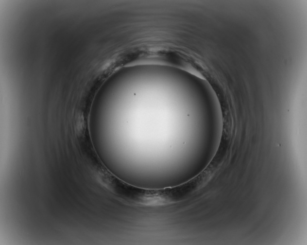 X0000085020704200703121543