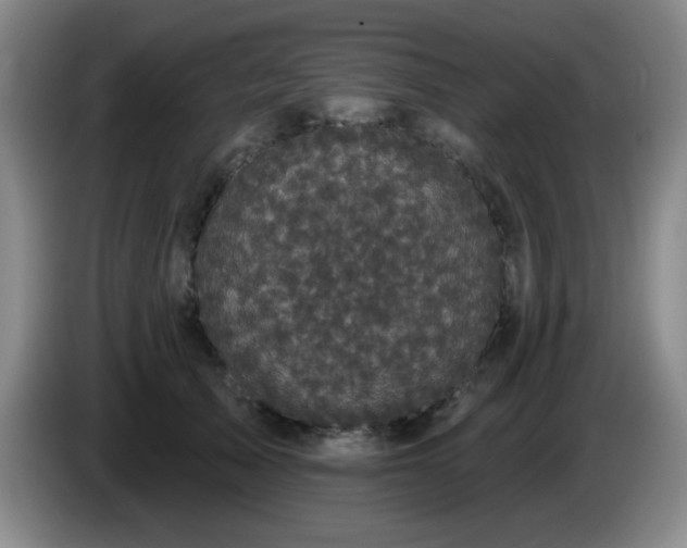 X0000085020705200703121543