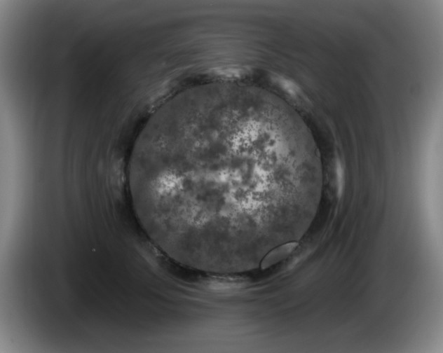 X0000085020707200703121543
