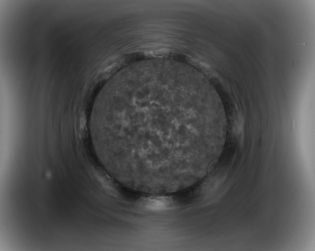 X0000085020711200703121543