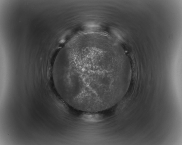 X0000085020712200703121543