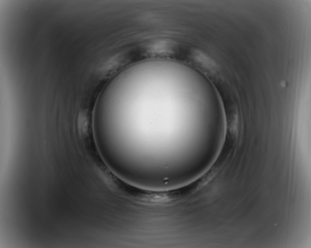 X0000085020715200703121543