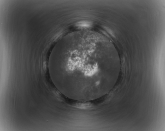 X0000085020716200703121543