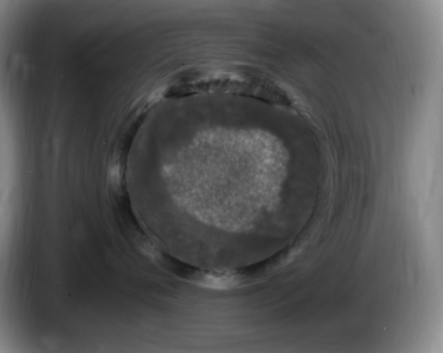 X0000085020720200703121542