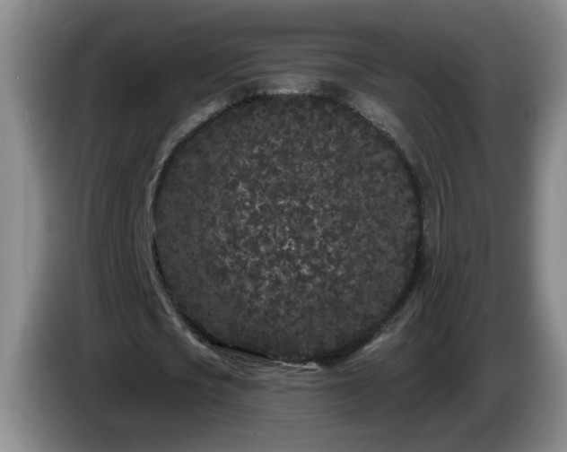 X0000085020721200703121542