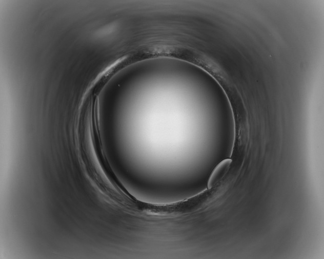 X0000085020722200703121542