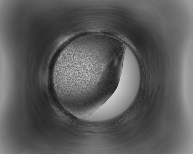X0000085020724200703121542