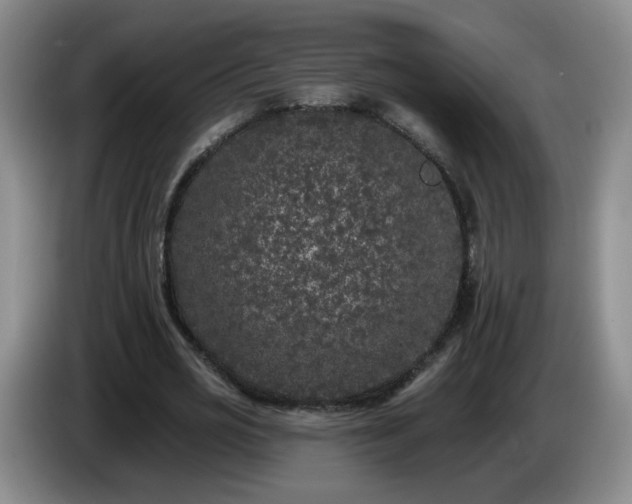 X0000085020725200703121542