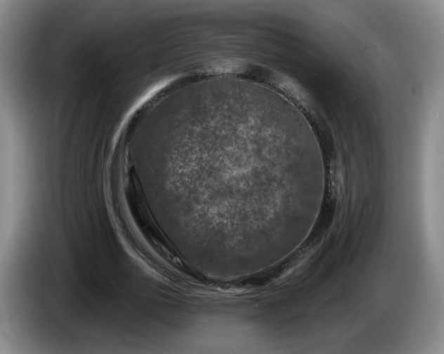 X0000085020726200703121542