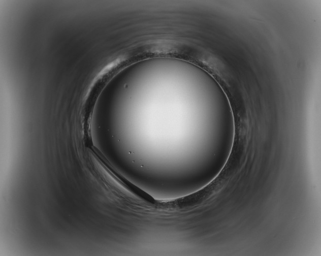 X0000085020727200703121542