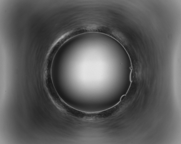 X0000085020728200703121542