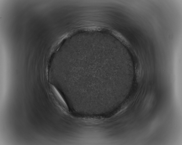 X0000085020729200703121542