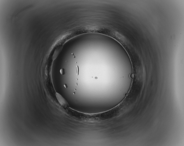 X0000085020731200703121542